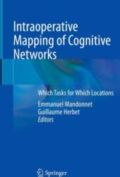 Intraoperative Mapping of Cognitive Networks: Which