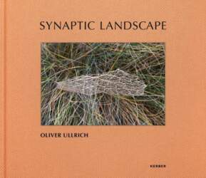 Oliver Ullrich: Synaptic Landscape