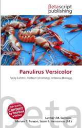 Panulirus Versicolor