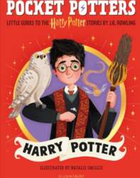 Pocket Potters: Harry Potter: The must-have