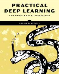 Practical Deep Learning: A Python-Based Introduction