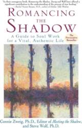 Romancing the Shadow: Break Unconscious Patterns