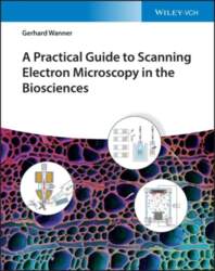 A Practical Guide to Scanning Electron