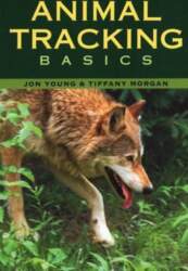 Animal Tracking Basics