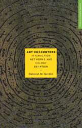 Ant Encounters: Interaction Networks and Colony