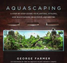 Aquascaping: A Step-by-Step Guide to Planting