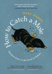 How to Catch a Mole: Wisdom