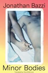 Minor Bodies