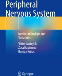 Peripheral Nervous System: Interrelationships and Variations