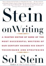 Stein On Writing