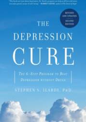 The Depression Cure