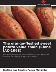 The orange-fleshed sweet potato value chain