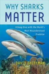 Why Sharks Matter: A Deep Dive