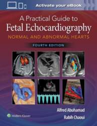 A Practical Guide to Fetal Echocardiography: