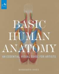Basic Human Anatomy: An Essential Visual