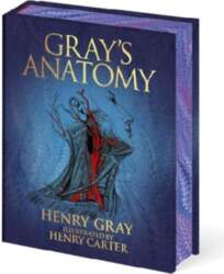 Gray`s Anatomy