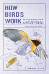 How Birds Work: An Illustrated Guide