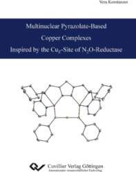 Multinuclear Pyrazolate-Based Copper Complexes Inspired by
