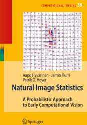 Natural Image Statistics: A Probabilistic Approach