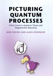 Picturing Quantum Processes