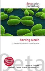 Sorting Nexin: PX Domain, Phospholipid, Protein