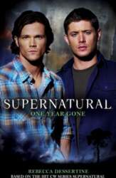 Supernatural: One Year Gone