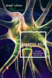 Synaptic Self: How Our Brains Become