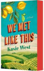 We Met Like This: A Novel