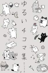 WONDER CATS