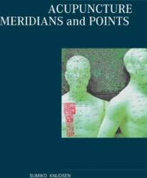 Acupuncture Meridians and Points