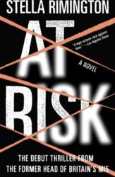 At Risk: A Novel
