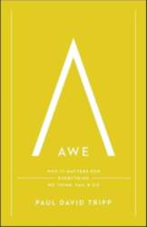 Awe: Why It Matters for Everything