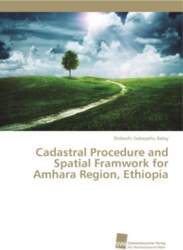 Cadastral Procedure and Spatial Framwork for