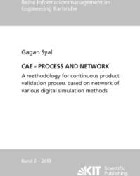 CAE - PROCESS AND NETWORK :