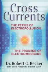 Cross Currents: The Perils of Electropollution