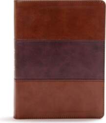CSB Apologetics Study Bible, Mahogany Leathertouch: