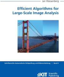 Efficient Algorithms for Large-Scale Image Analysis
