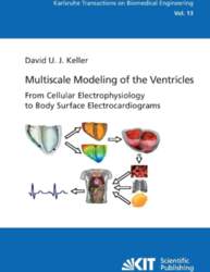 Multiscale Modeling of the Ventricles: From