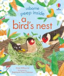 Peep Inside a Bird`s Nest