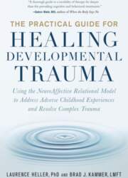 The Practical Guide for Healing Developmental