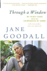 Through a Window: My Thirty Years