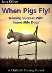 When Pigs Fly: Training Success with