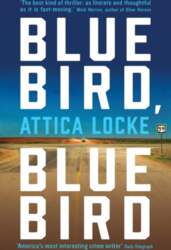 Bluebird, Bluebird
