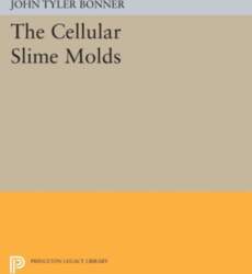 Cellular Slime Molds