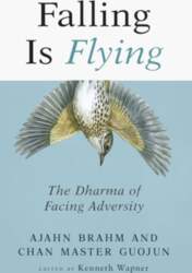 Falling is Flying: The Dharma of