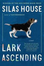 Lark Ascending