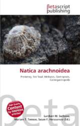 Natica arachnoidea