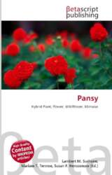 Pansy