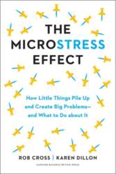 The Microstress Effect: How Little Things