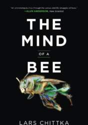 The Mind of a Bee